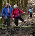 DAV Maiwanderung 2014 (6)